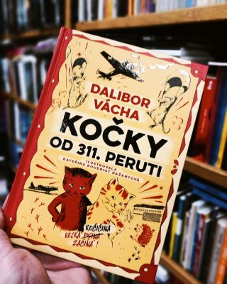 Mohly obyčejné kočky zasáhnout do leteckých soubojů druhé světové války? Jasně že mohly! A dokonce zásadně! Podle nás,...